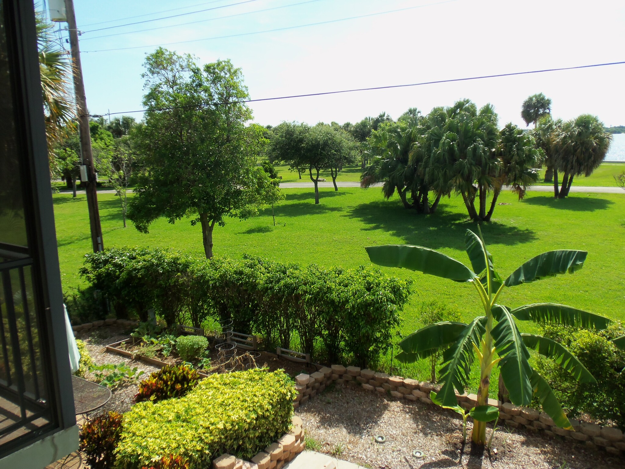 View of park from balcony - 230 S Lakeside Dr