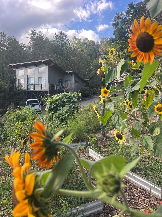 Building Photo - 567 W King St