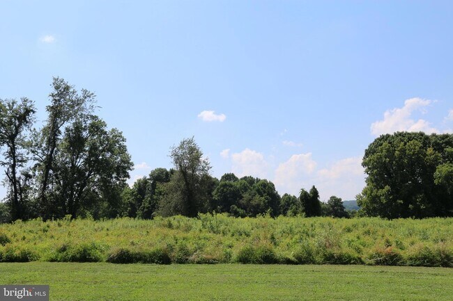 Building Photo - 1705 Mountainview Dr