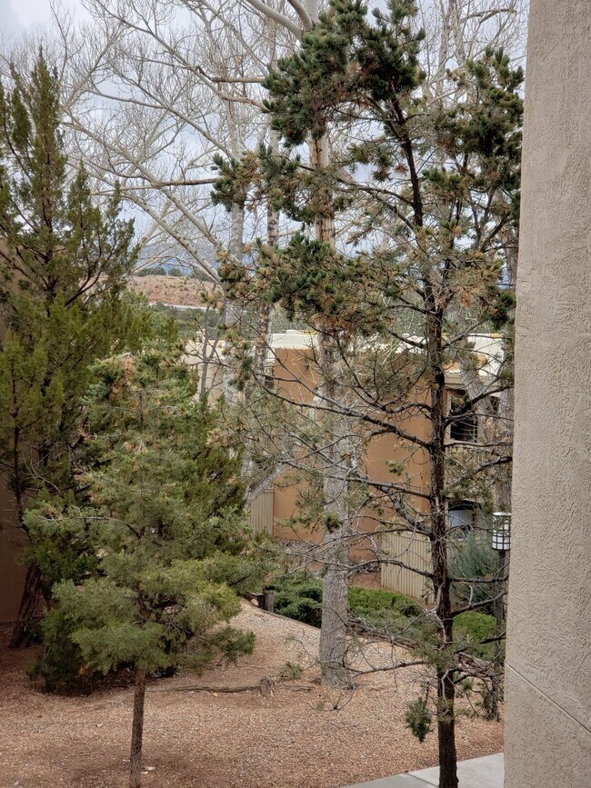 Building Photo - 941 Calle Mejia