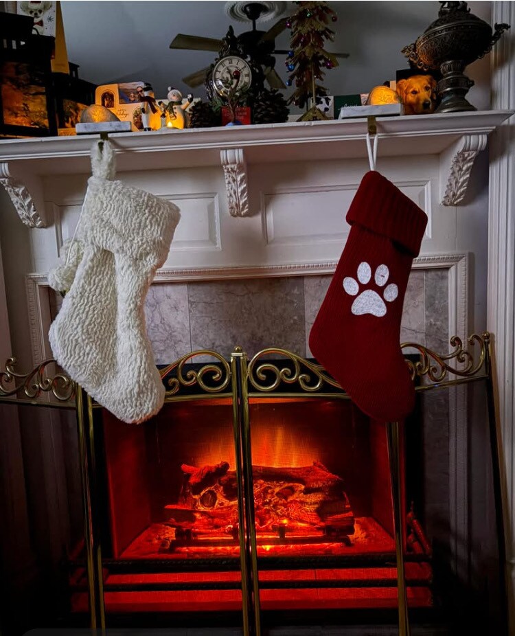 Fireplace at Xmas - 37 Bernard St