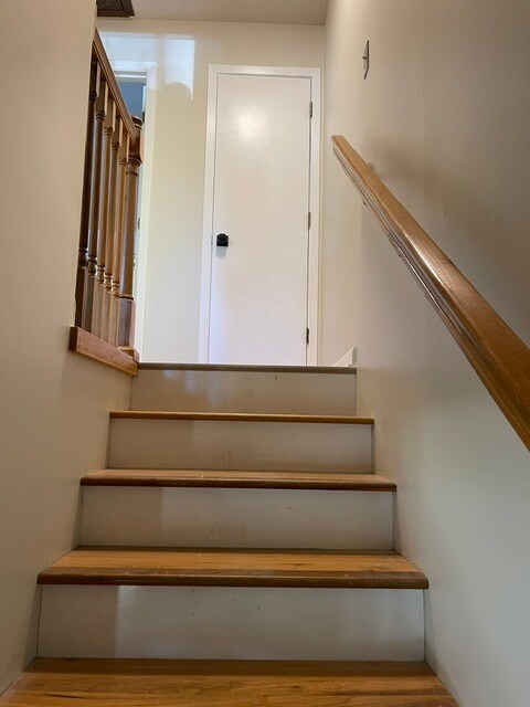 Building Photo - 1135 Breckenridge Dr