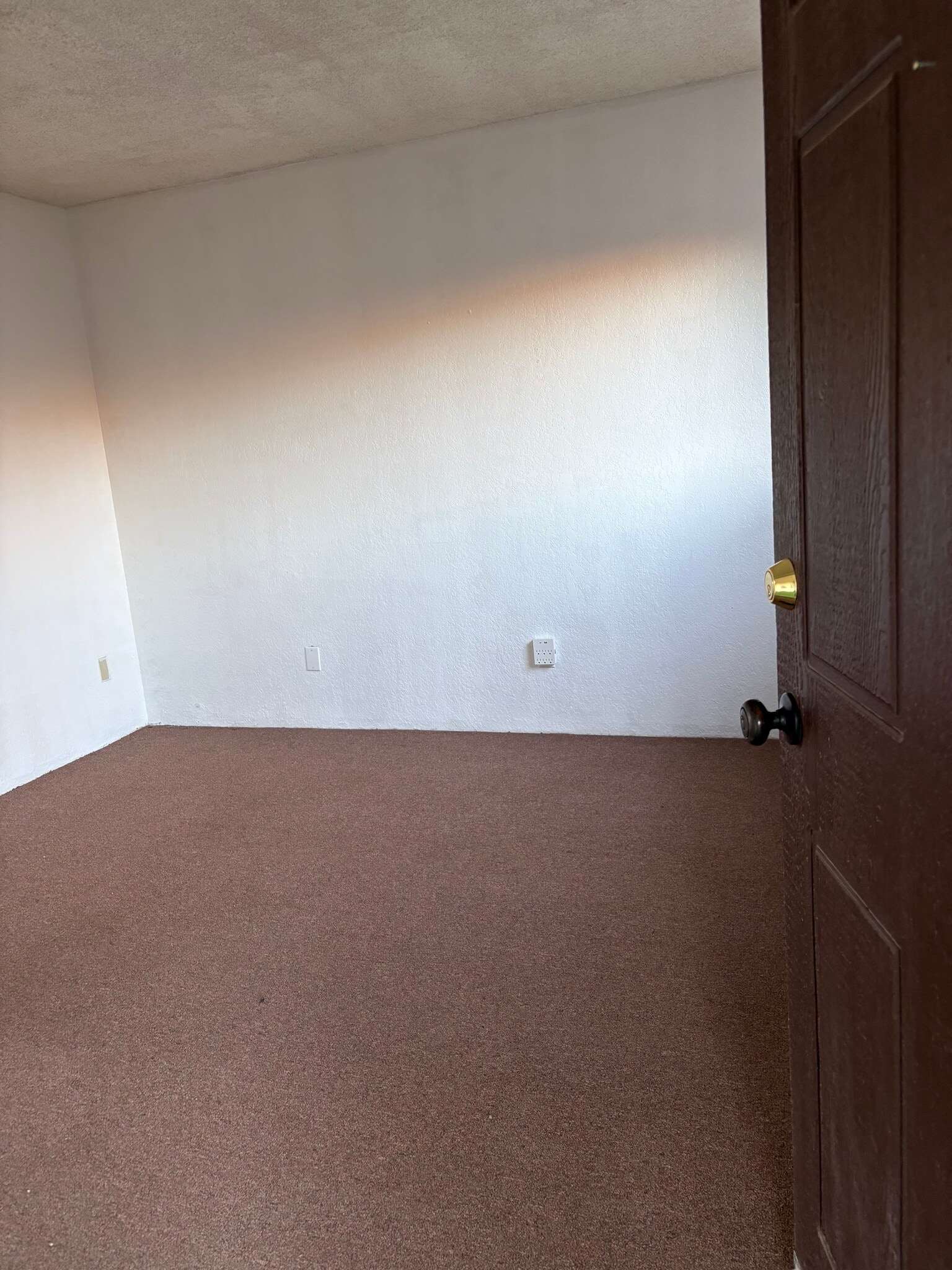Building Photo - 433 Avenida Garza