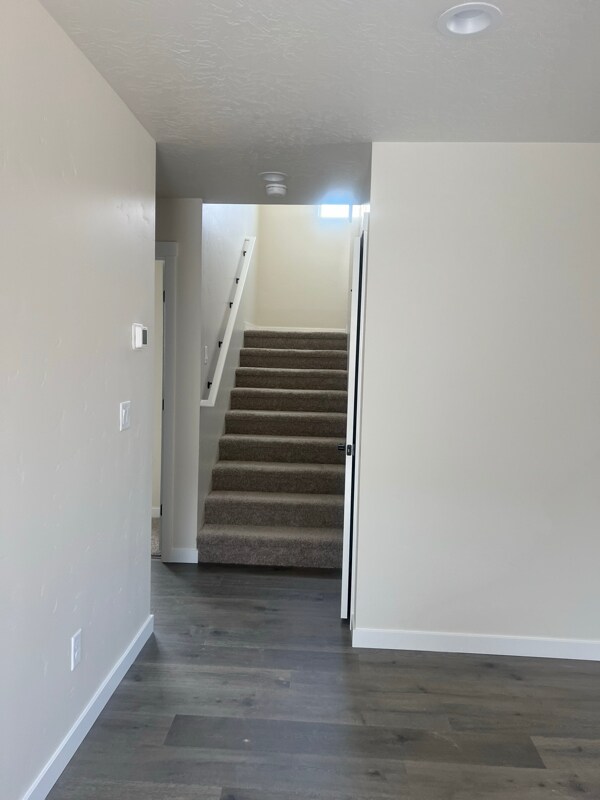 Building Photo - 10114 Longtail Dr