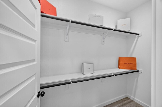 Building Photo - 2926 El Fenice Ln