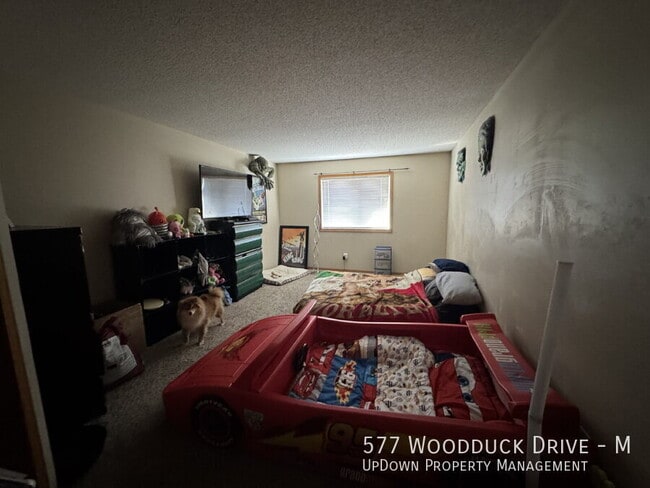 Building Photo - 577 Woodduck Dr