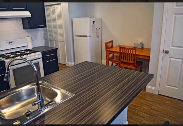 Modern kitchen with stainless steel sink and gas stove. - 1004 Madison Ave