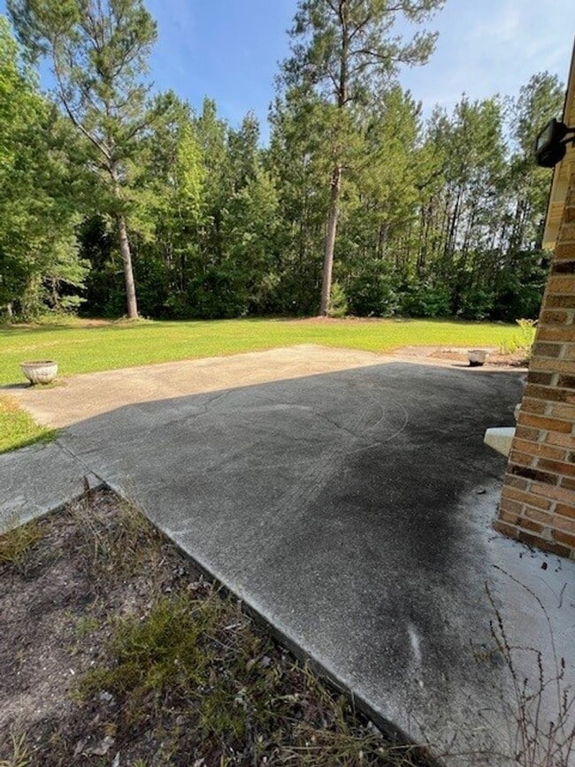 Building Photo - 3 Bedroom, 3 Bath Home in Dearing