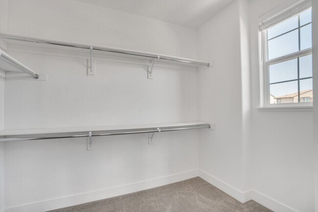 Building Photo - 3434 Sassafras Way