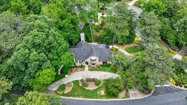 Building Photo - 459 Atlanta Country Club Dr
