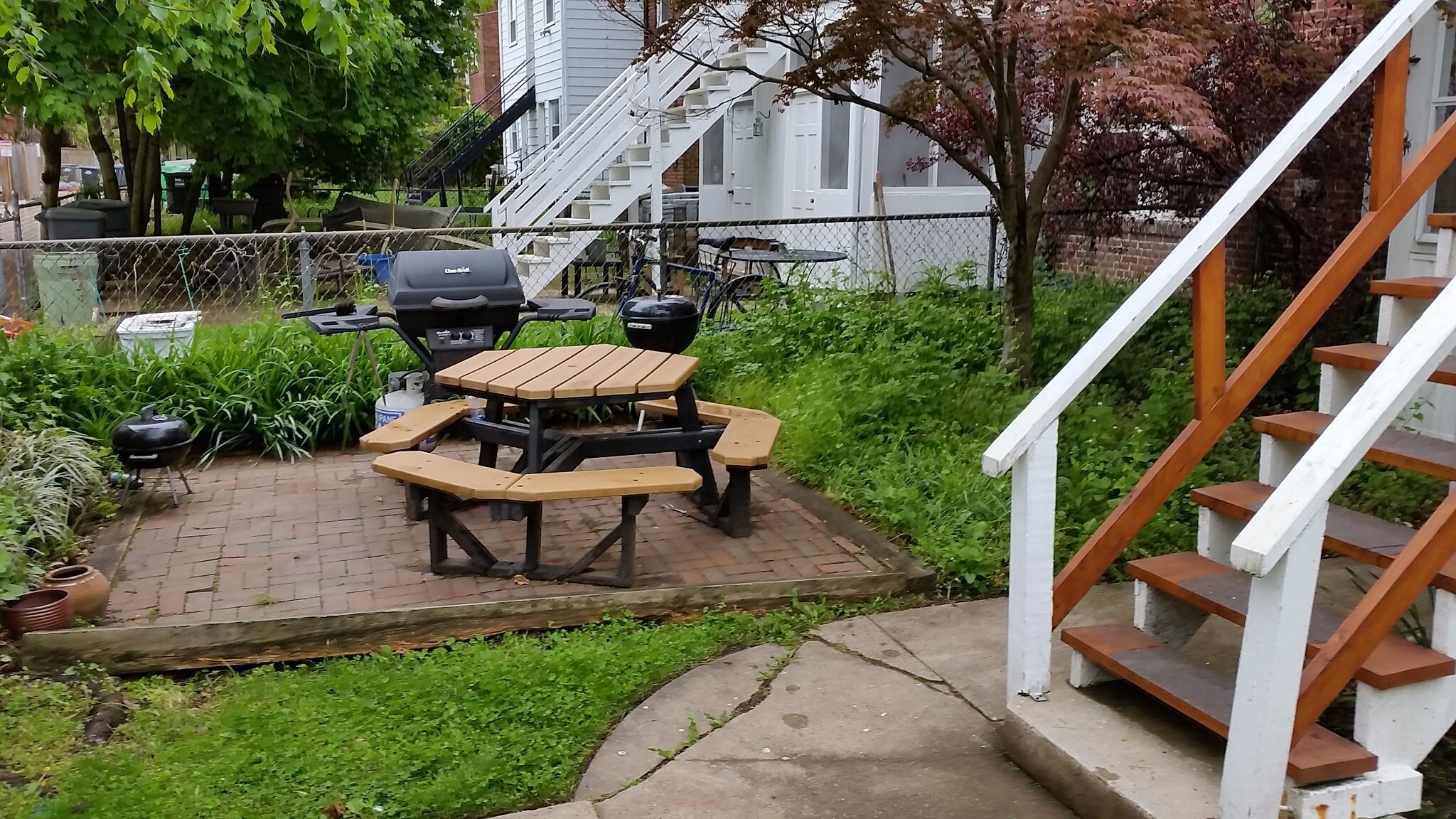 Rear Yard - 2443 40th St NW