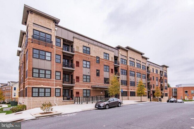 Building Photo - 9523 Bastille St