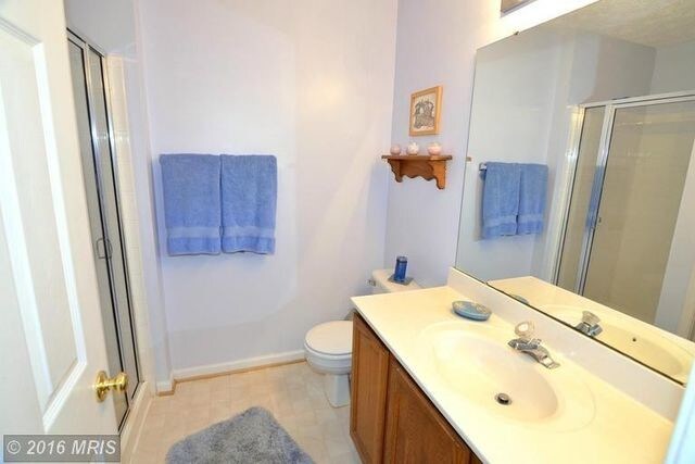 Building Photo - 8534 Pine Meadows Dr