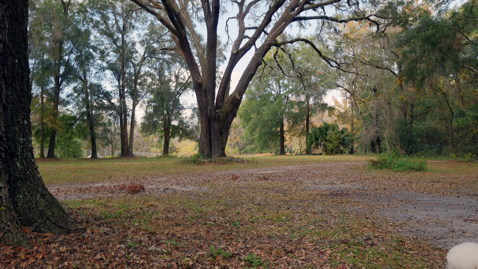 Meadow with Trees - 7201 NW 125th Street Rd