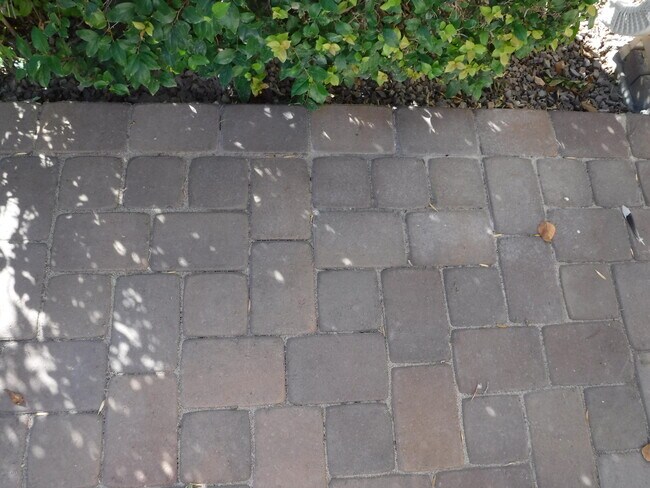 Building Photo - 11029 W Caron Dr