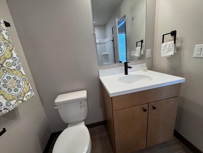 Building Photo - Beautiful, Brand New Studio Near CSU!