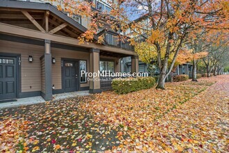 Building Photo - NEW PHOTOS! Modern Comfort Meets Small-Tow...