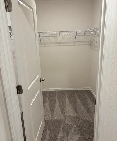 Building Photo - 3533 Eagles Xing Wy