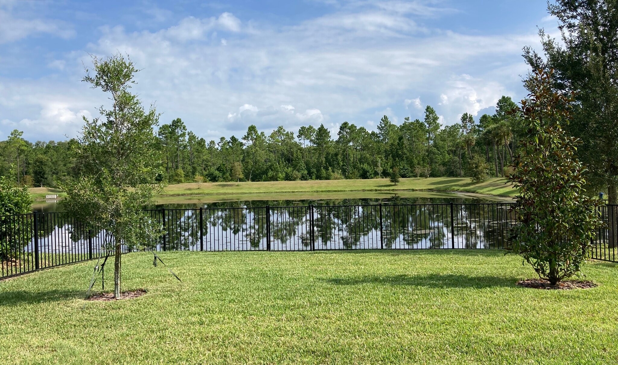 Backyard - 363 Caribbean Pl