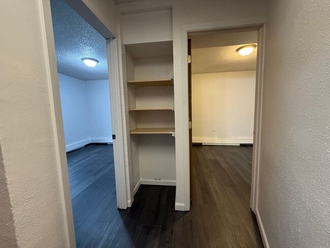 Building Photo - 2667 Scotch Pine Dr