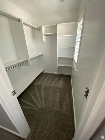 Building Photo - 11771 Pale Moon Ln