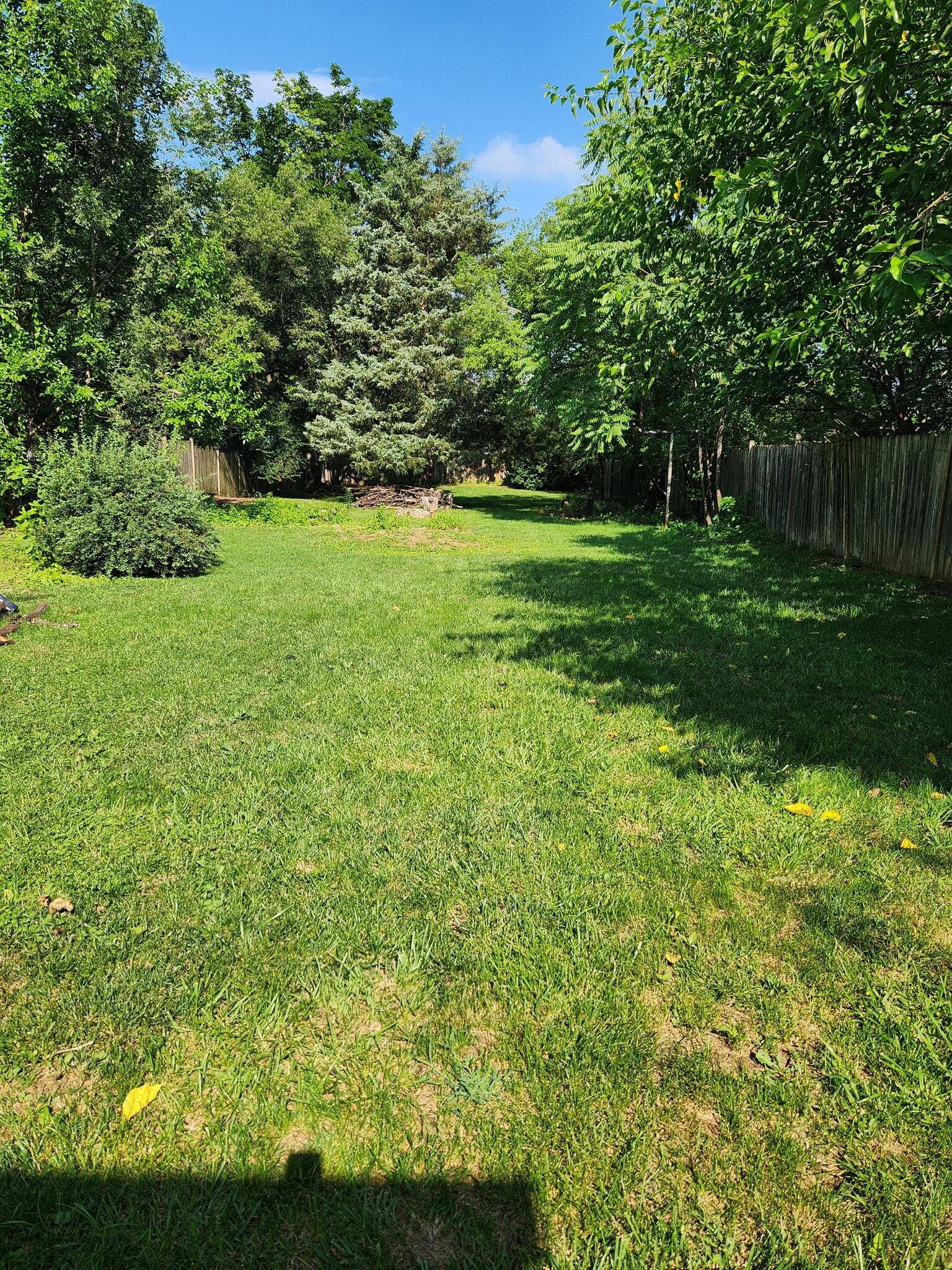 Backyard bank - 513 Battle Ave