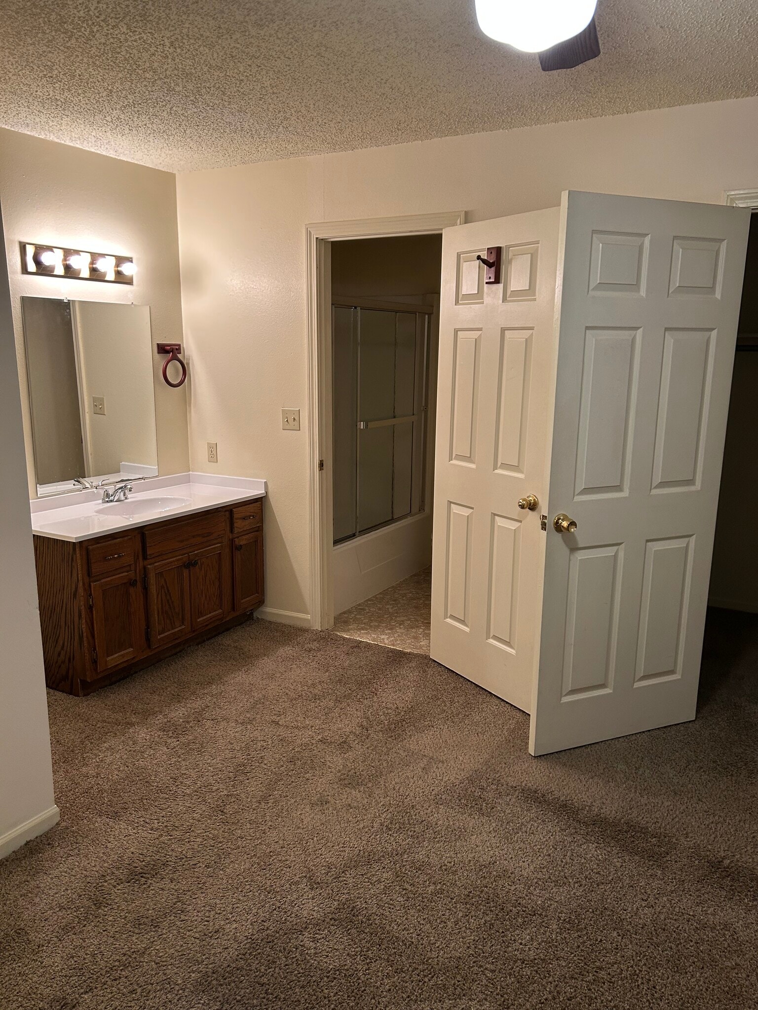 Master Bedroom/Bath - 223 Hunter Dr