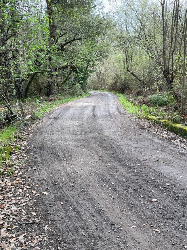 Building Photo - 1138 square feet Private Two bedroom, two bath upgraded home on 4 acres, 1 car garage, chicken co...