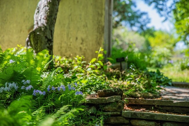 Building Photo - Historic Home Available at Foxhaven Farm