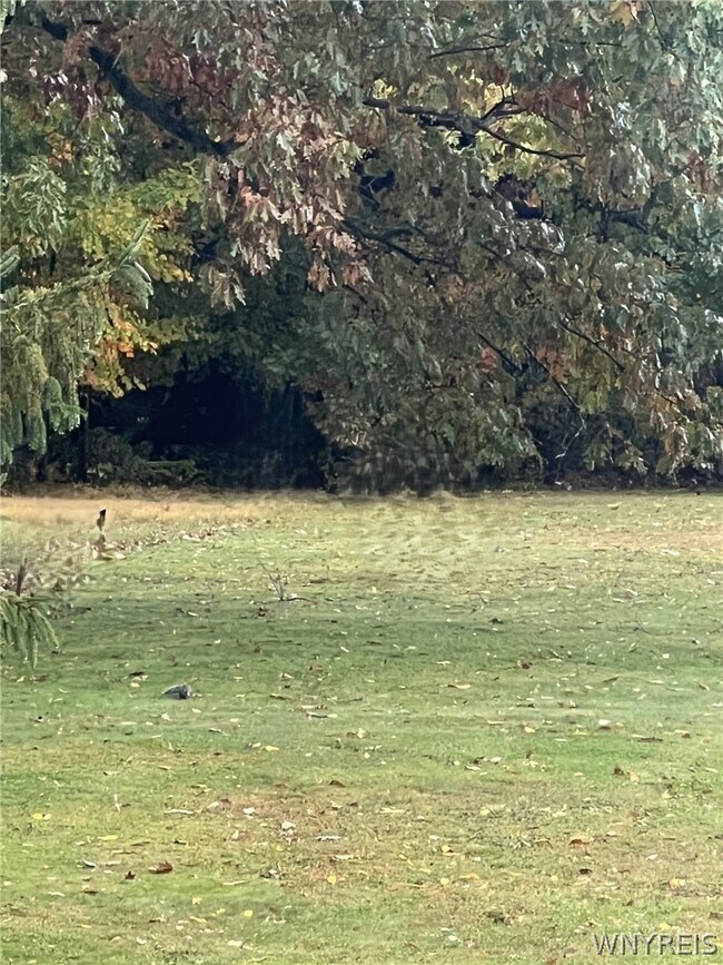 Building Photo - 2392 N Maple Ave