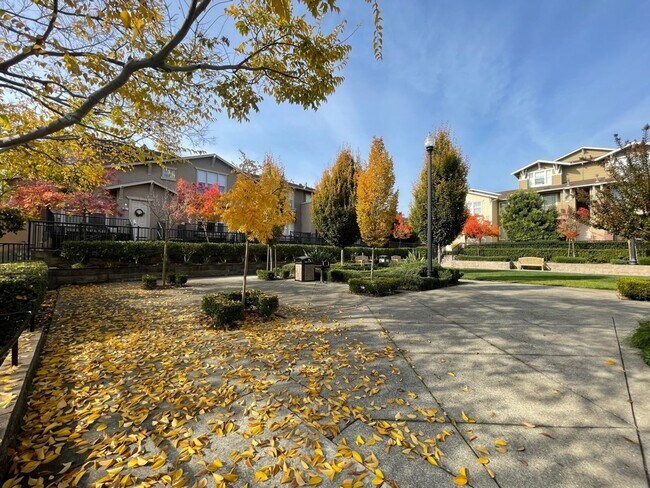 Building Photo - Nice and bright 2BR / 2BA Condo Near Durant Square Mall