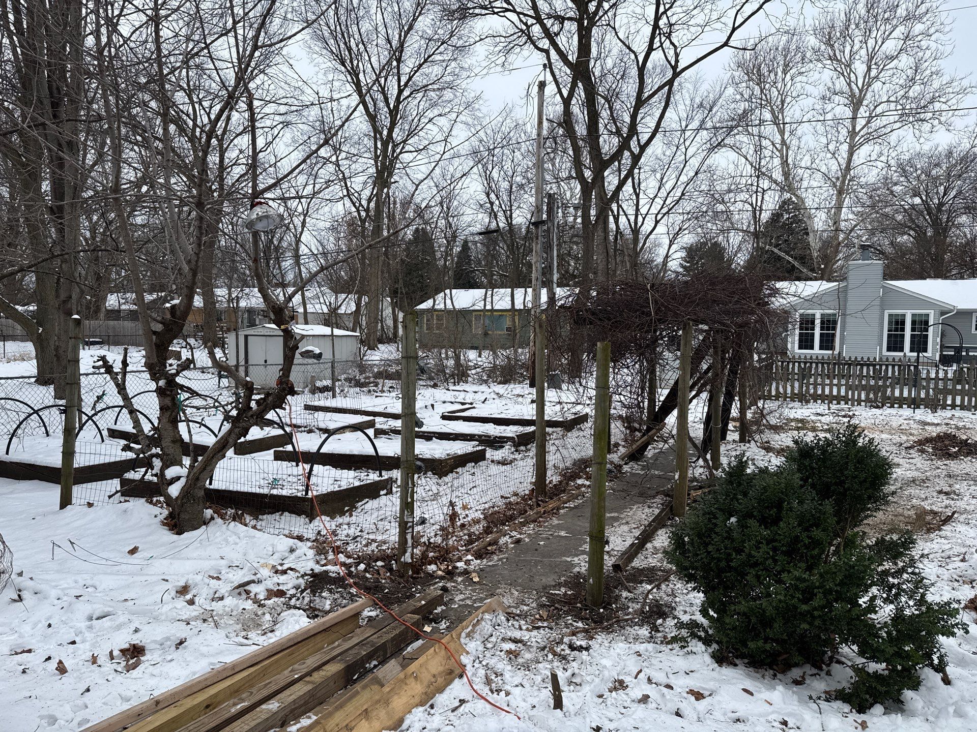 Garden Area - 1217 Scott Ave
