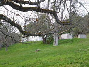 Building Photo - Peaceful Country Setting