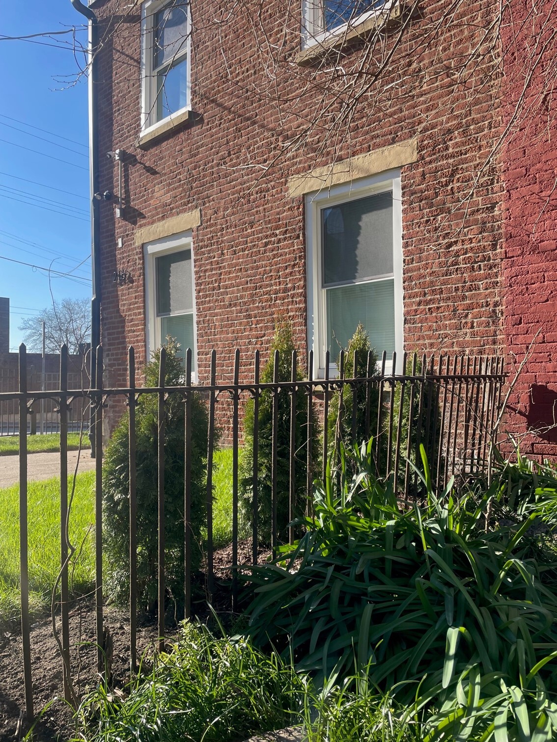 New Landscaping - 216 Findlay St