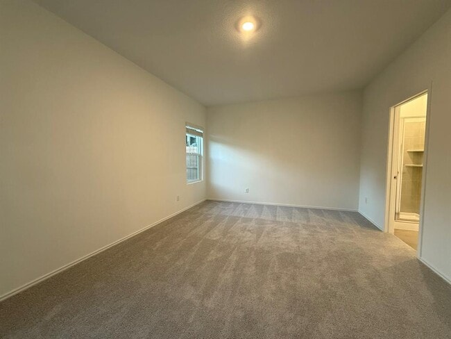 Building Photo - 163 Cibolo Crk Lp