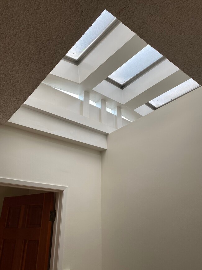 Living room skylight - 1739 Washington Way