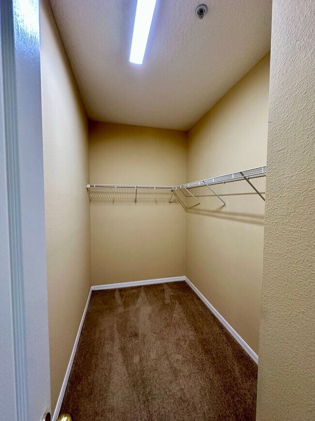 Building Photo - Beautiful 4-Bedroom Home near Lake Nona!