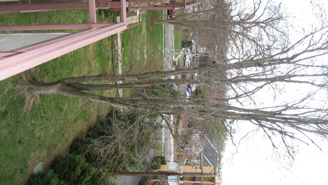 Building Photo - 214 Locust St SE