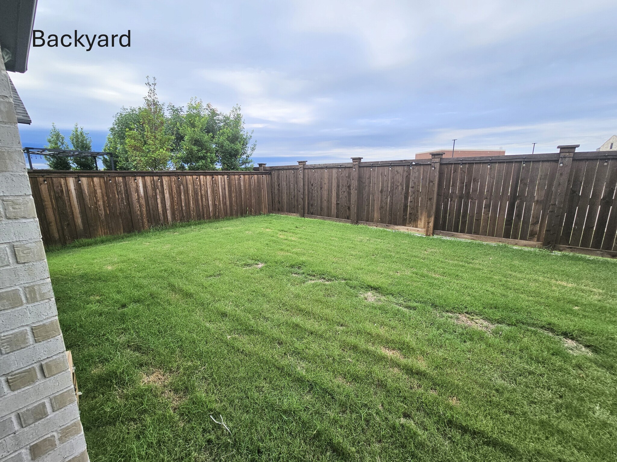 Open Backyard - 3004 Warrington