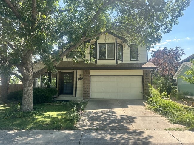 Primary Photo - 11042 Alcott Dr