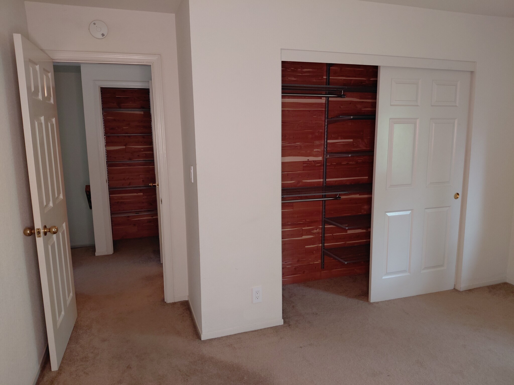 View from Second Bedroom - 358 Pimlico Dr