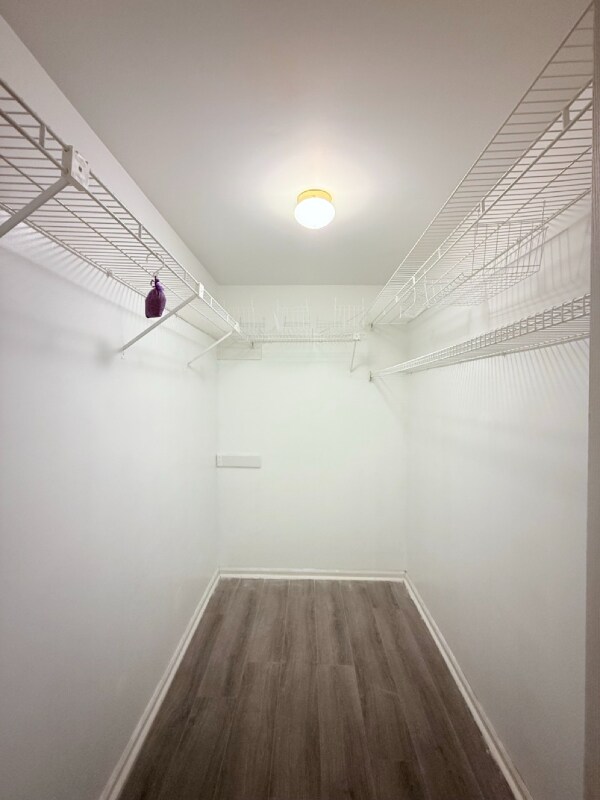 Building Photo - 365 Saybrook Ln