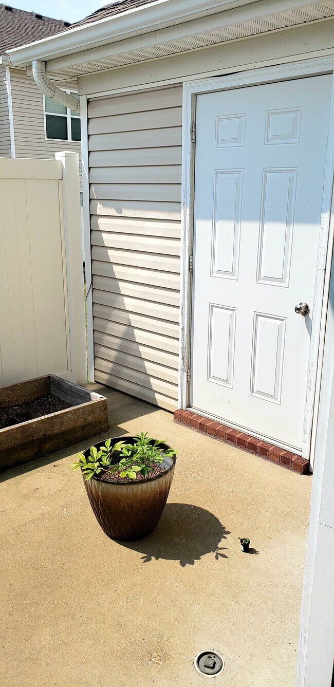 Back patio with privacy fence - 3026 Burnt Pine Dr