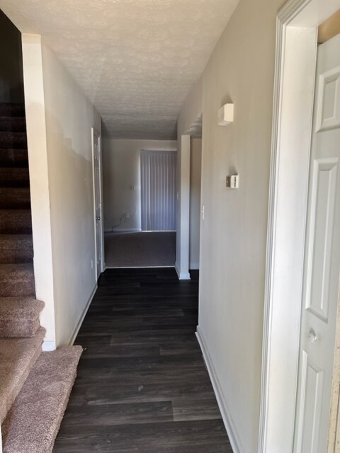 Building Photo - 240 Scandia Cir