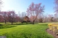 Building Photo - 206 Salem Ct