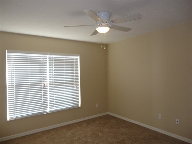 Building Photo - 11728 Caruso Dr