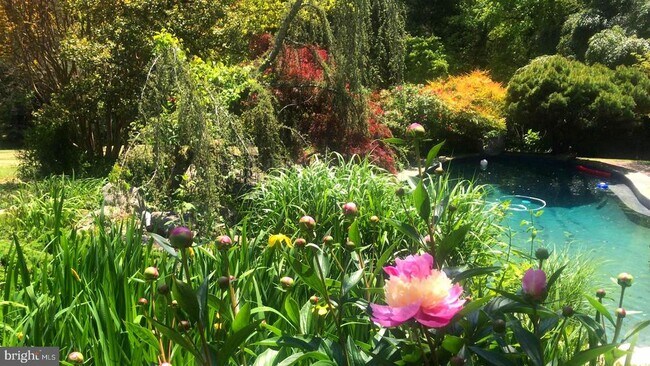 Building Photo - 10809 Nicholsridge Rd