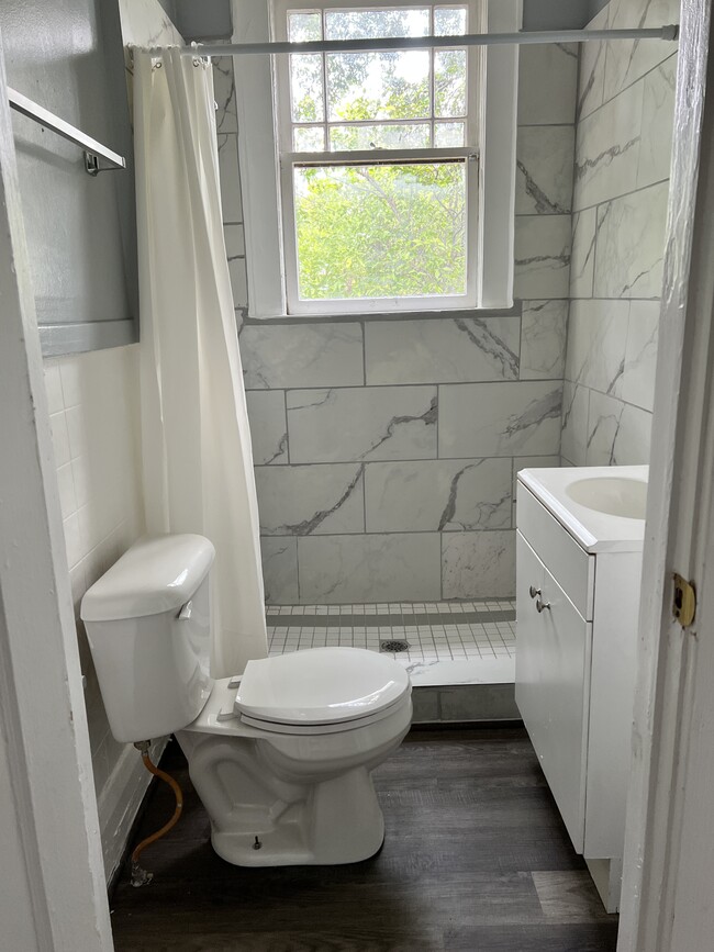 Apt 2 Bathroom - 201 Ariana St