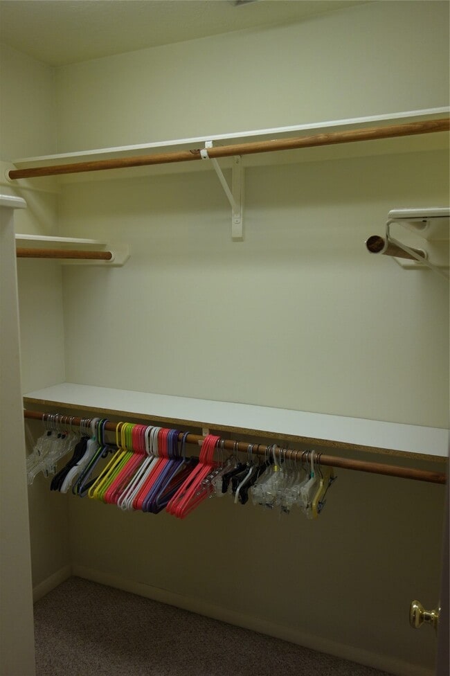 Building Photo - 3623 Chatwood Dr