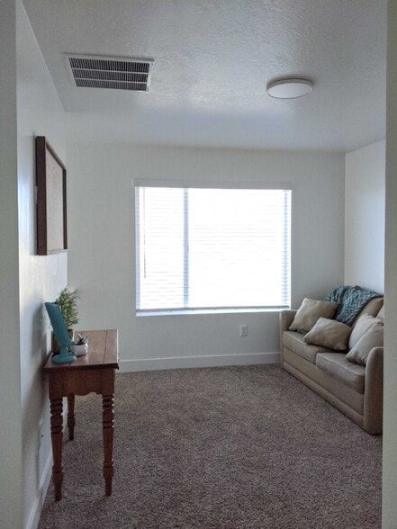 Building Photo - 452 W 85 S